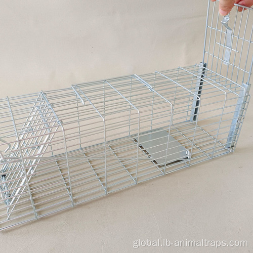 Rodent Cage Trap Cage Trap Single Living Catch Mouse Traps Supplier